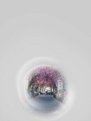 Gleiche Szene der Bonner Kirschblüte. Von den blühenden Kirschbäumen, deren rosa Blüten ein dichtes Blätterdach über der Straße formen, ist nichts mehr zu sehen. Nur in der Bildmitte ist eine runde, unscharfe Öffnung und lässt ein paar Menschen in der Ferne erkennen, Die Ränder rund um das zentrale Bild sind stark verschwommen, wie durch ein Schlüsselloch gesehen.